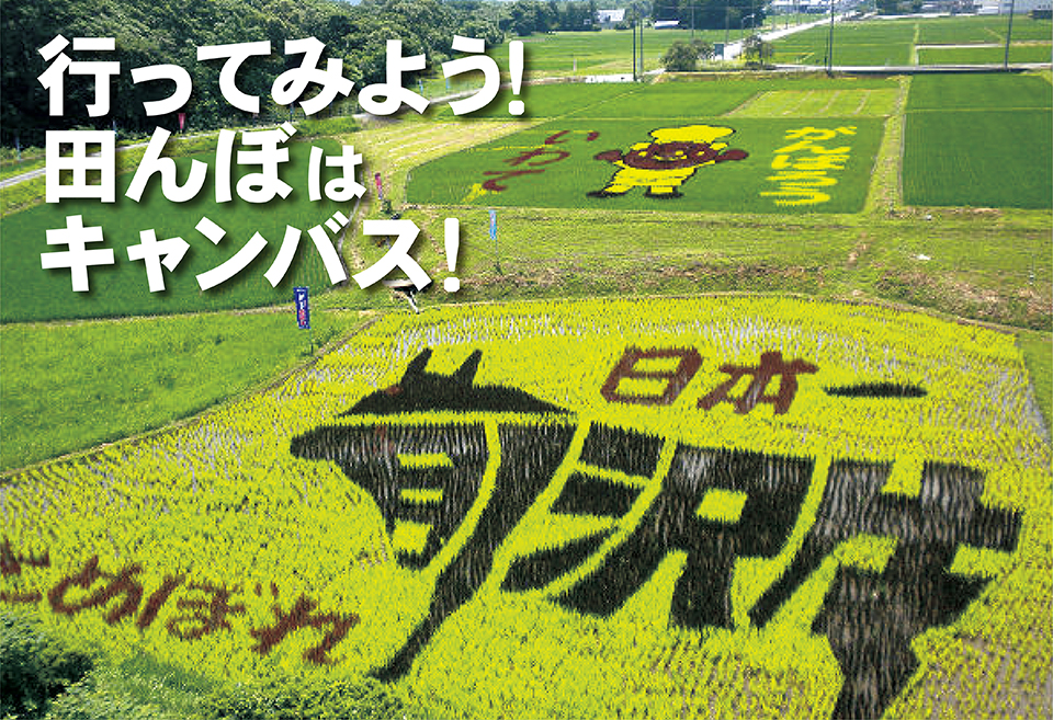 田んぼアート